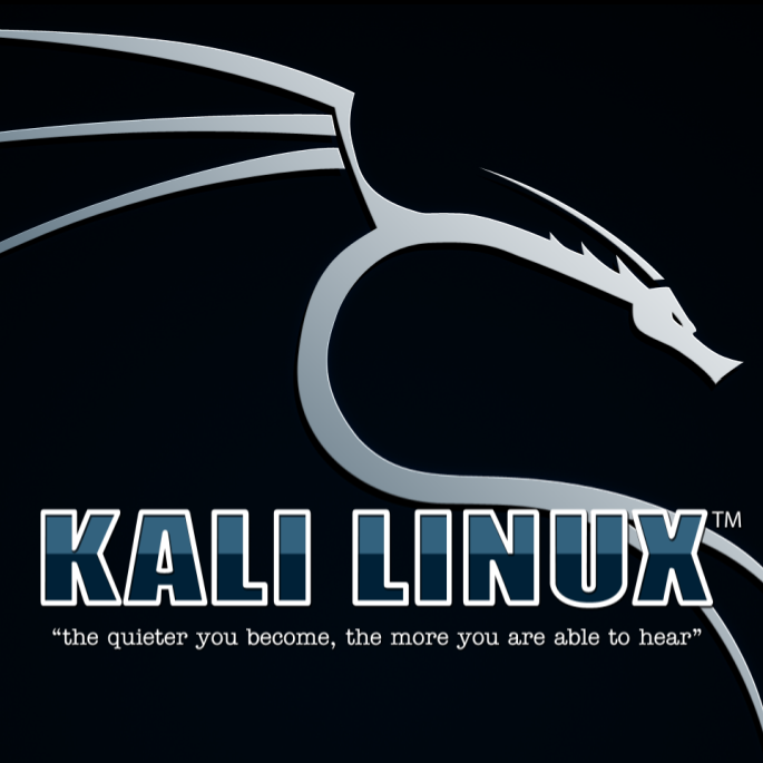 Kali Linuxをusbにインストールし書き込み領域を作成する